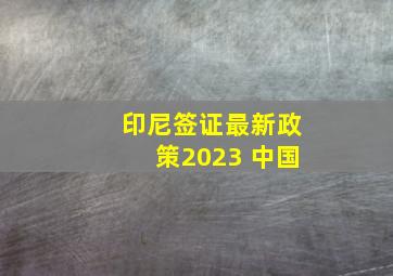 印尼签证最新政策2023 中国